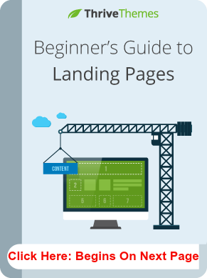 Beginner's Guide to Landing Pages